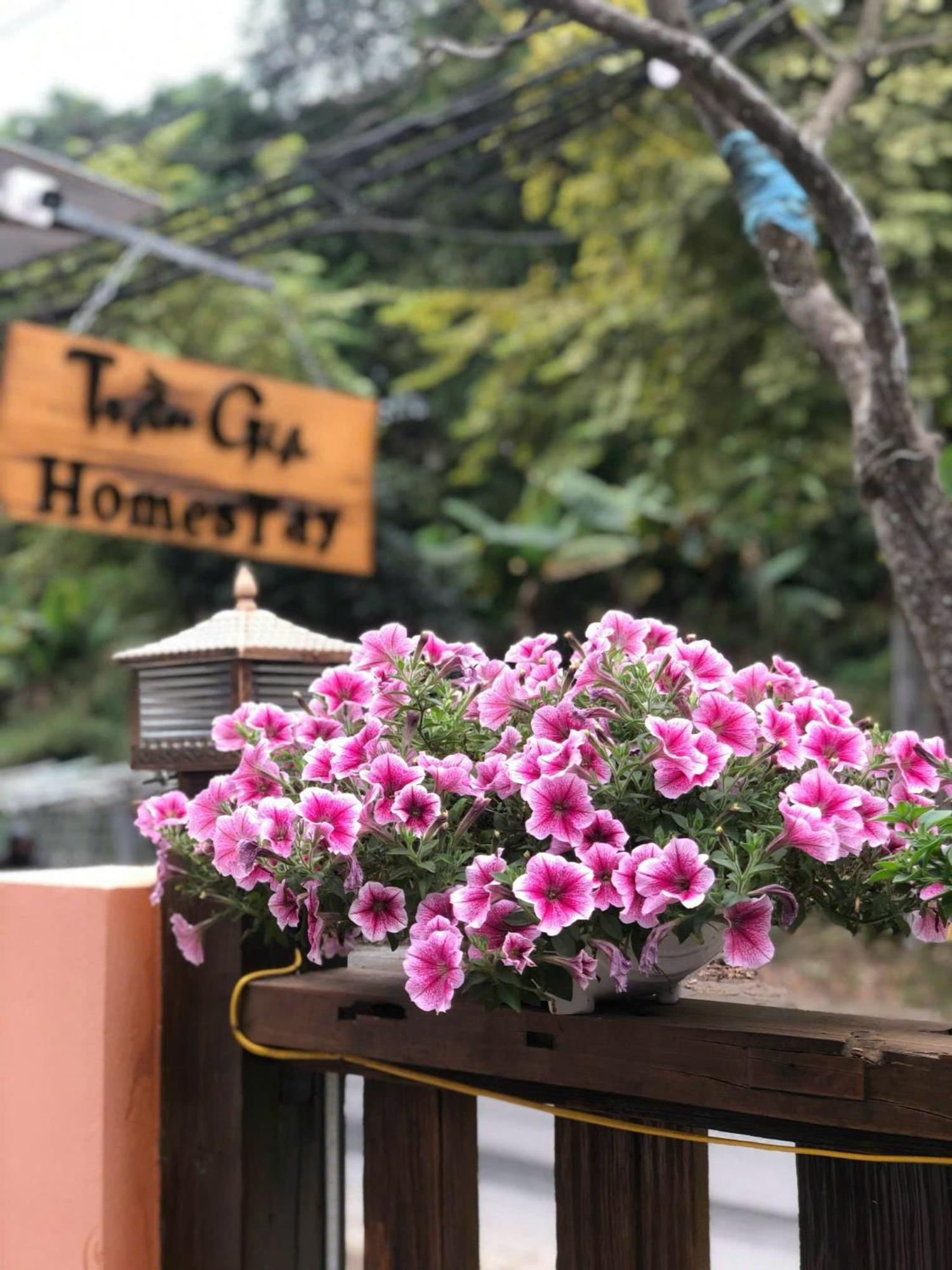 Tran Gia Homestay Nghia Lo Ngoại thất bức ảnh