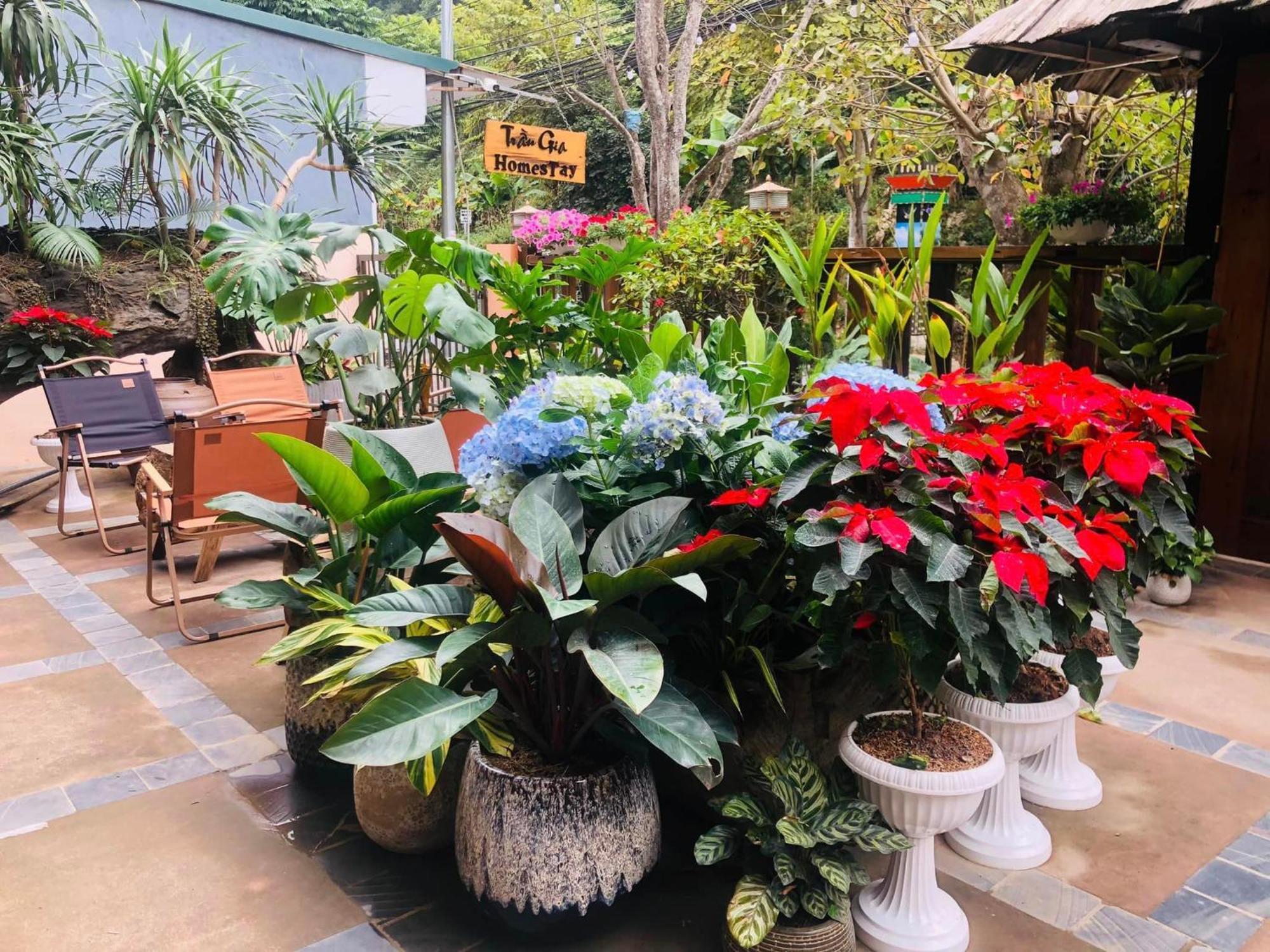 Tran Gia Homestay Nghia Lo Ngoại thất bức ảnh