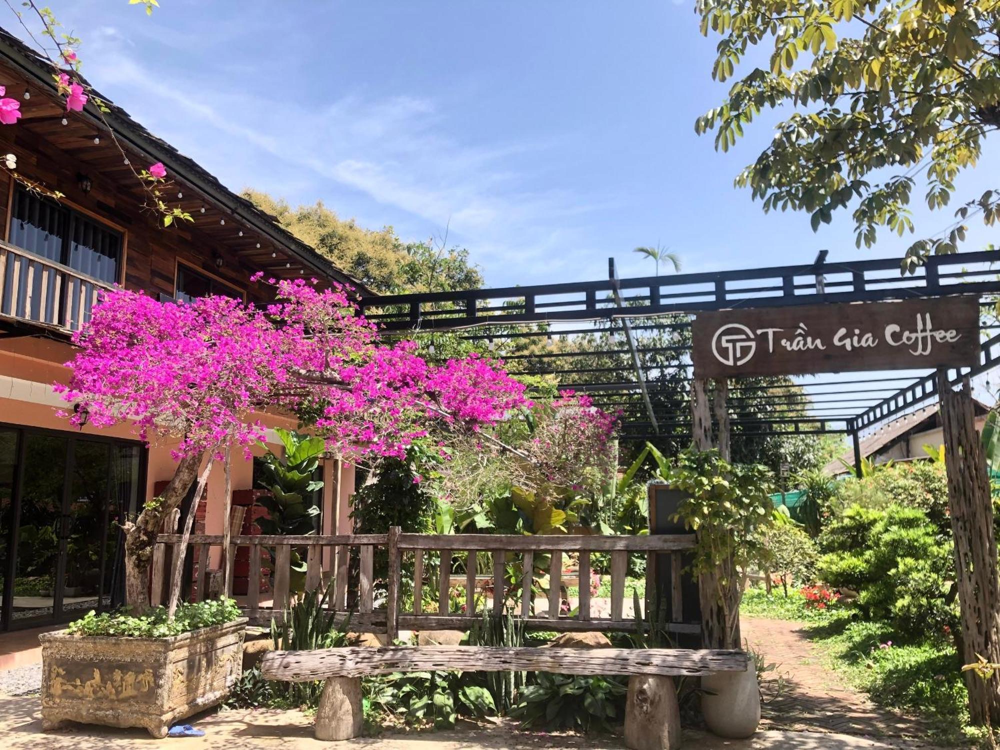 Tran Gia Homestay Nghia Lo Ngoại thất bức ảnh